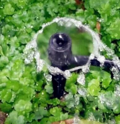 vortex-drypsprinkler til 1/4" slange 4mm (20 stk.)