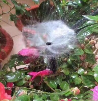 vortex-drypsprinkler til 1/4" slange 4mm (20 stk.)